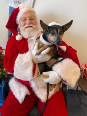 Santa Pic 3